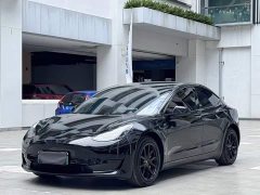 Tesla Model 3 Standard Range RWD Upgrade 3D6 - ფოტო 1