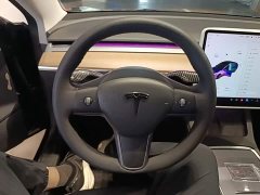Tesla Model 3 Standard Range RWD Upgrade 3D6 - ფოტო 10