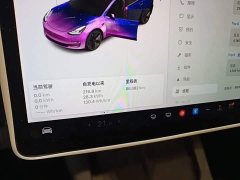 Tesla Model 3 Standard Range RWD Upgrade 3D6 - ფოტო 11