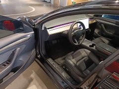 Tesla Model 3 Standard Range RWD Upgrade 3D6 - ფოტო 15