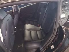Tesla Model 3 Standard Range RWD Upgrade 3D6 - ფოტო 16