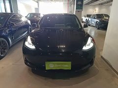Tesla Model 3 Standard Range RWD Upgrade 3D6 - ფოტო 2