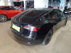 Tesla Model 3 Standard Range RWD Upgrade 3D6 - ფოტო 6