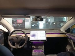 Tesla Model 3 Standard Range RWD Upgrade 3D6 - ფოტო 9