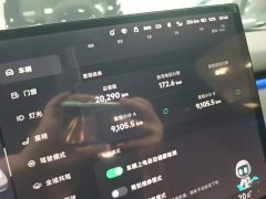 Xpeng P7 2024 Long Range Max - ფოტო 11