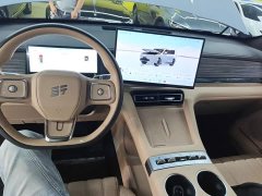 Jetour Jietu Shanhai L7 PLUS 2026 220km Flagship 7-Seater - ფოტო 9