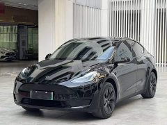 Tesla Model Y 2023 Rear-Wheel Drive - ფოტო 1