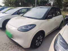 Wuling Binguo 333km Lingxi Connected Edition - ფოტო 1