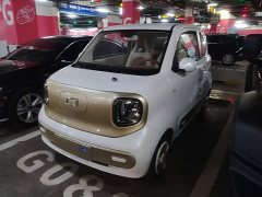 FAW Besturn Xiaoma 222km Lightning Edition - ფოტო 1