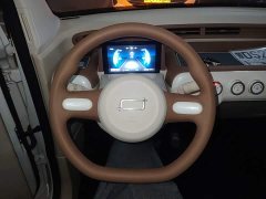 FAW Besturn Xiaoma 222km Lightning Edition - ფოტო 10