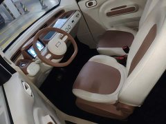 FAW Besturn Xiaoma 222km Lightning Edition - ფოტო 14