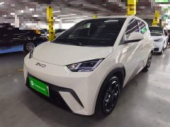 BYD Seagull Smart Driving Edition 305km Freedom Edition - ფოტო 1