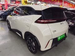 BYD Seagull Smart Driving Edition 305km Freedom Edition - ფოტო 4