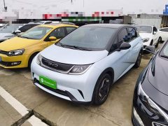 BYD Dolphin 405km Fashion Edition - ფოტო 1