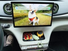 BYD Dolphin 405km Fashion Edition - ფოტო 12