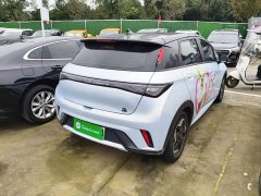 BYD Dolphin 405km Fashion Edition - ფოტო 6