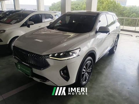 2021 Haval F7 2.0T Two-Wheel Drive i-Range - ავტომობილი ჩინეთიდან