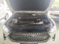 Haval F7 2.0T Two-Wheel Drive i-Range - ფოტო 19