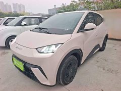 BYD Seagull 2023 Vitality Edition - ფოტო 1