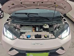 BYD Seagull 2023 Vitality Edition - ფოტო 19