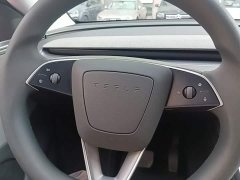 Tesla Model Y Rear-Wheel Drive - ფოტო 10