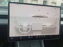 Tesla Model Y Rear-Wheel Drive - ფოტო 12