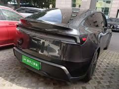 Tesla Model Y Rear-Wheel Drive - ფოტო 6
