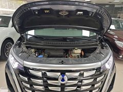 Denza BYD Denza D9 2022 DM-i 1040 Premium - ფოტო 19