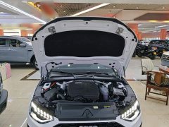 Audi A4L 2024 40 TFSI Luxury Dynamic - ფოტო 19