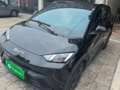BYD Seagull Glory Edition 305km Vitality Version - ფოტო 1