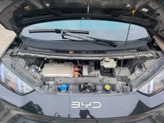 BYD Seagull Glory Edition 305km Vitality Version - ფოტო 19