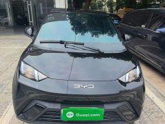 BYD Seagull Glory Edition 305km Vitality Version - ფოტო 2