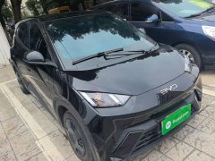 BYD Seagull Glory Edition 305km Vitality Version - ფოტო 3