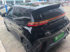 BYD Seagull Glory Edition 305km Vitality Version - ფოტო 4