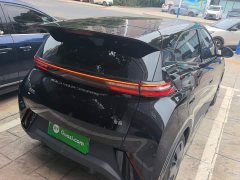 BYD Seagull Glory Edition 305km Vitality Version - ფოტო 6