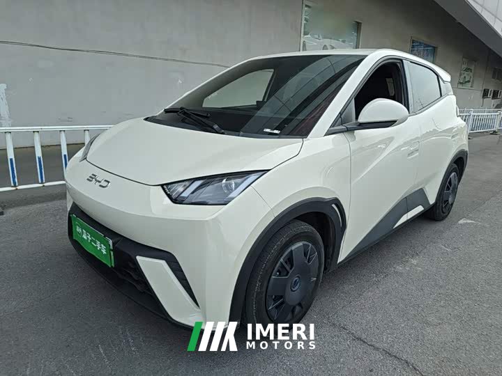 BYD Seagull 305km Vitality Edition - ავტომობილი ჩინეთიდან