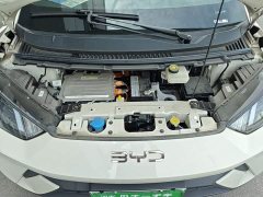 BYD Seagull 305km Vitality Edition - ფოტო 19