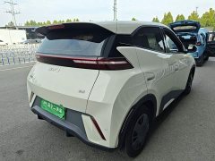 BYD Seagull 305km Vitality Edition - ფოტო 6
