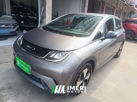 2023 BYD Dolphin 420km Freedom Edition