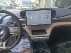 BYD Dolphin 420km Freedom Edition - ფოტო 12