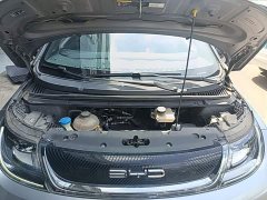 BYD Dolphin 420km Freedom Edition - ფოტო 19