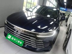 BYD Destroyer 05 Glory Edition DM-i 55KM Luxury - ფოტო 1
