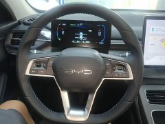 BYD Destroyer 05 Glory Edition DM-i 55KM Luxury - ფოტო 10