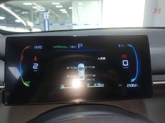 BYD Destroyer 05 Glory Edition DM-i 55KM Luxury - ფოტო 11