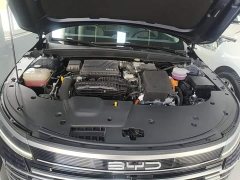 BYD Destroyer 05 Glory Edition DM-i 55KM Luxury - ფოტო 19