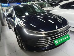 BYD Destroyer 05 Glory Edition DM-i 55KM Luxury - ფოტო 3