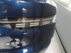 BYD Destroyer 05 Glory Edition DM-i 55KM Luxury - ფოტო 7