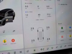 Li Auto L9 2022 Max - ფოტო 11