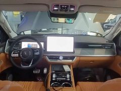 Tank 500 New Energy Hi4-Z Smart Comfort Edition - ფოტო 9