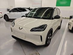 Wuling Binguo PLUS 330km 5-Seater - ფოტო 1